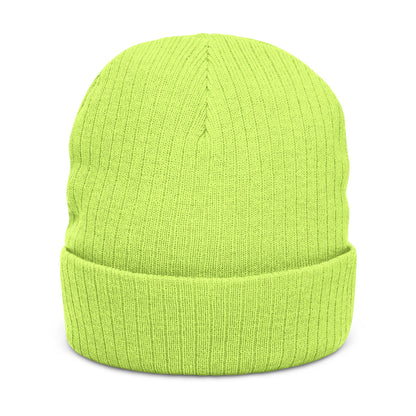 The Boards Embroidered Ribbed Beanie — Snowboard Culture Knit Hat