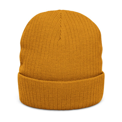 The Boards Embroidered Ribbed Beanie — Snowboard Culture Knit Hat