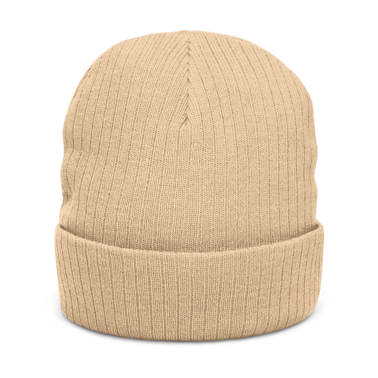 The Boards Embroidered Ribbed Beanie — Snowboard Culture Knit Hat